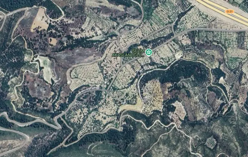 Denizli, Sarayköy, Satılık, Tarla — fotoğraf 2