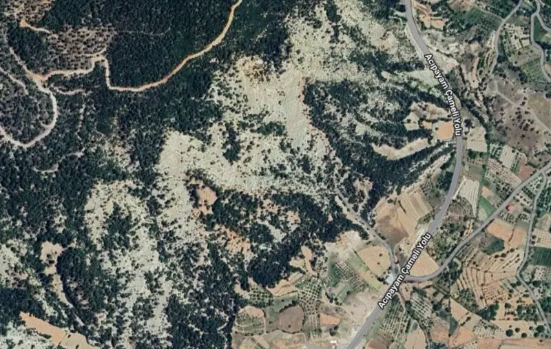 Belevi Mah., Satılık, Tarla, 9.732 m² — fotoğraf 2