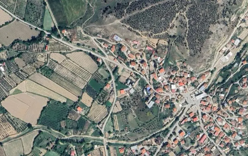 2249.jpg
