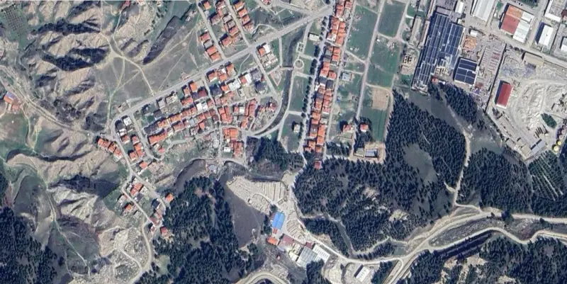 262.jpg