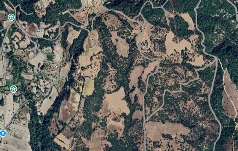 Bursa Mah., Satılık, Tarla, 11.638 m² — fotoğraf 1