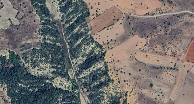 178.jpg