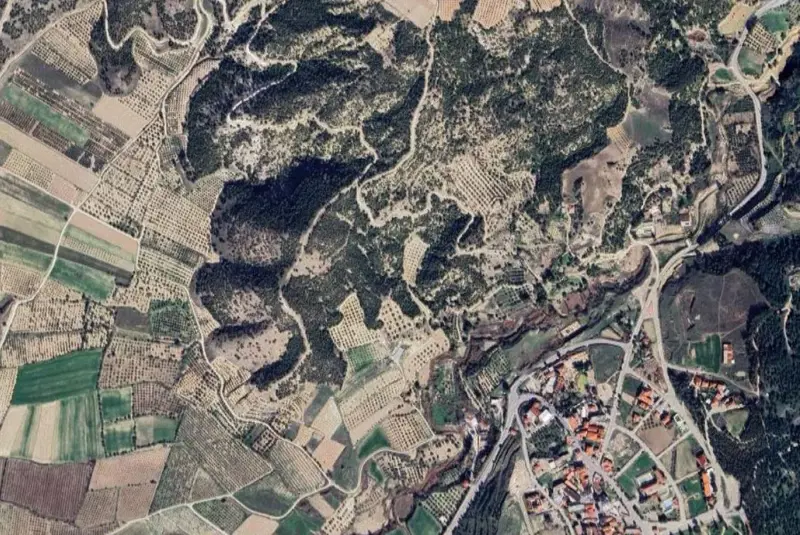 2226.jpg
