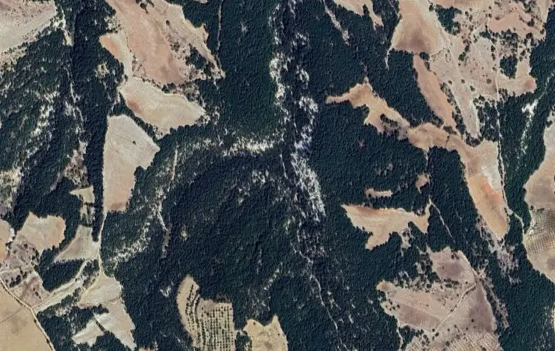 Uzunpınar Mah., Satılık, Tarla, 13.078 m² — fotoğraf 1