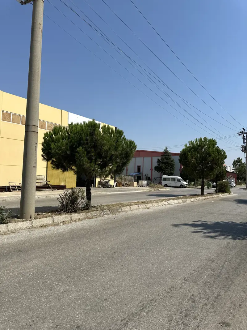 foto1.jpg