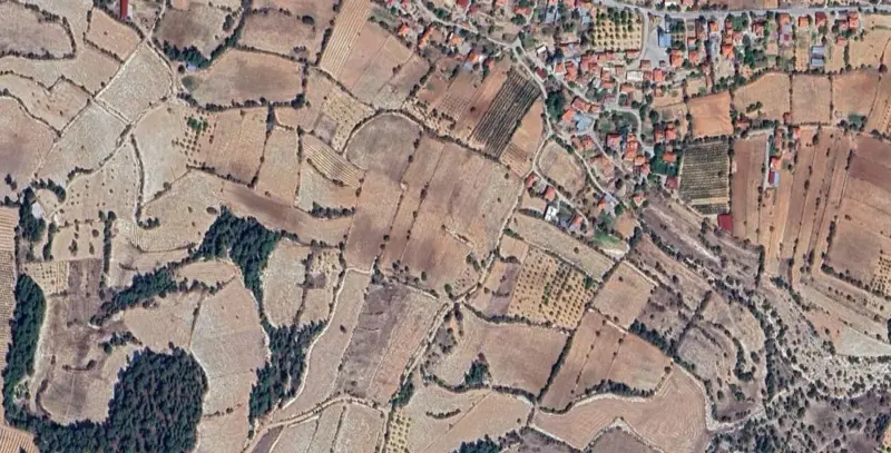 263.jpg