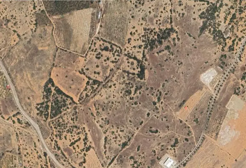 293.jpg