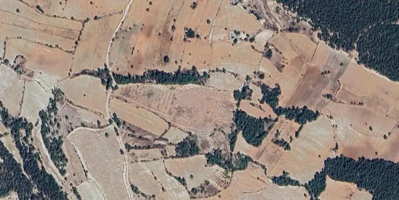 221.jpg