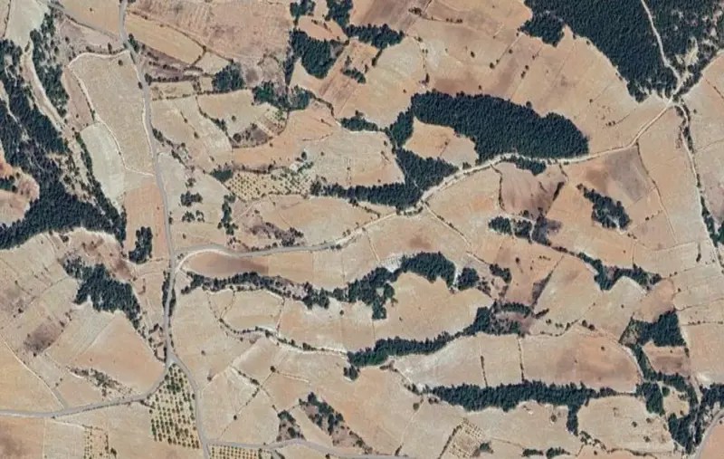 Uzunpınar Mah., Satılık, Tarla, 30.467 m² — fotoğraf 2
