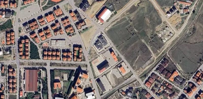 598.jpg