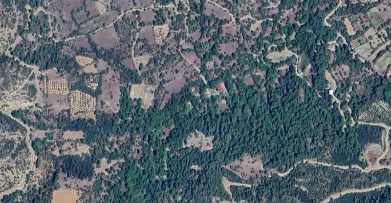 1072.jpg