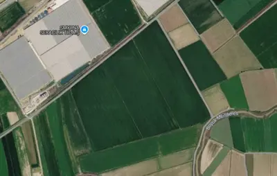 Denizli, Turan, Tarla