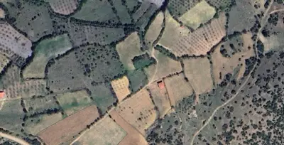 Denizli, Pamukkale, Satılık, Tarla