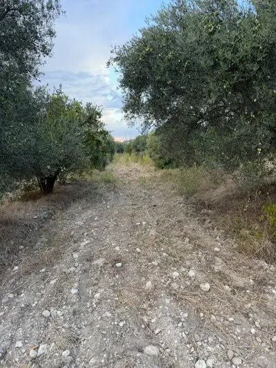 Gölemezli Mah., Satılık, Arsa, 2.341 m²
