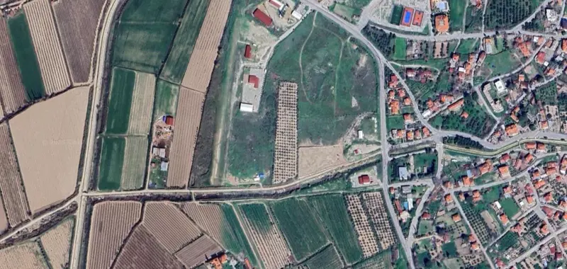 877.jpg