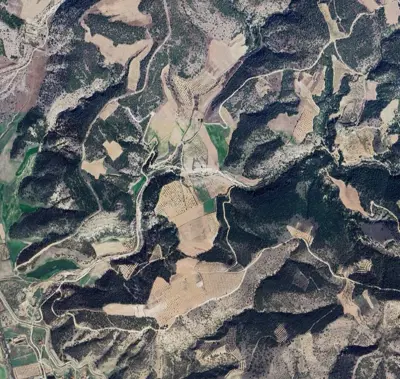Denizli, Haytabey, Tarla