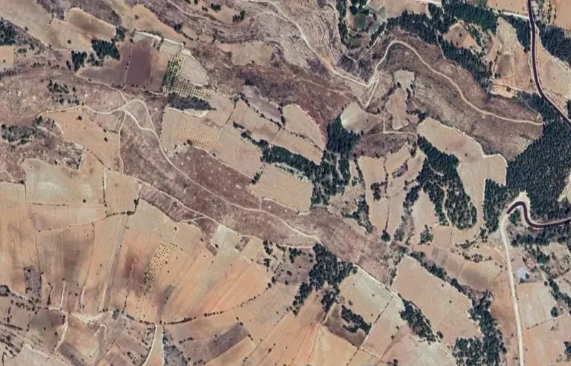 2153.jpg