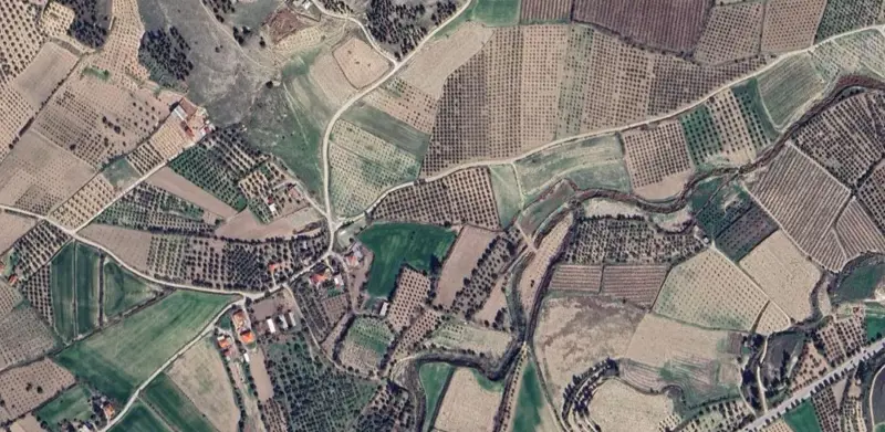 1317.jpg