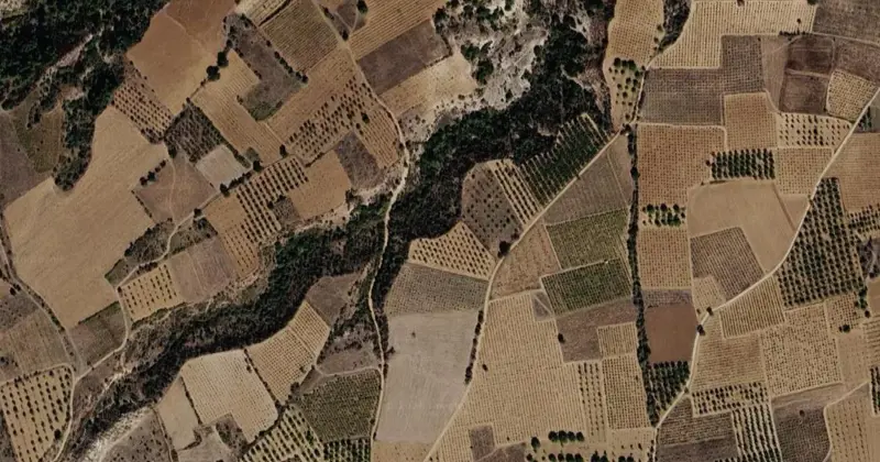1472.jpg