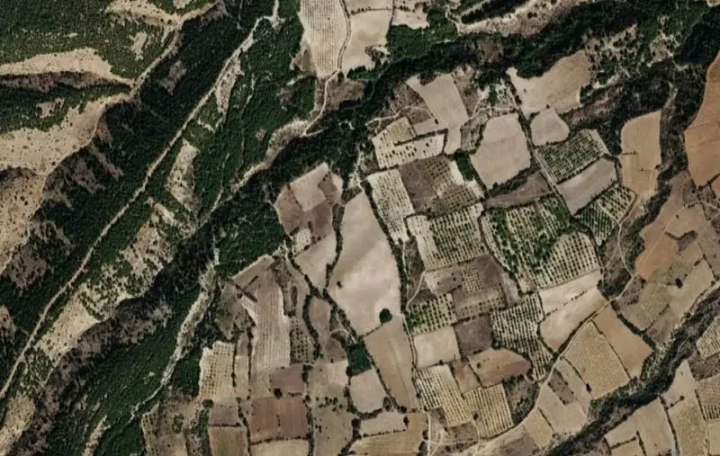 Mahmutgazi Mah., Satılık, Tarla, 33.613 m² — fotoğraf 1