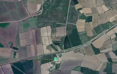 Denizli, Yeniköy, Tarla