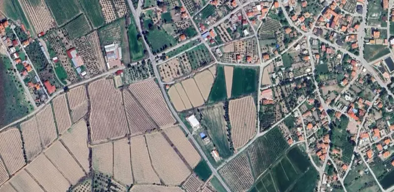 1589.jpg