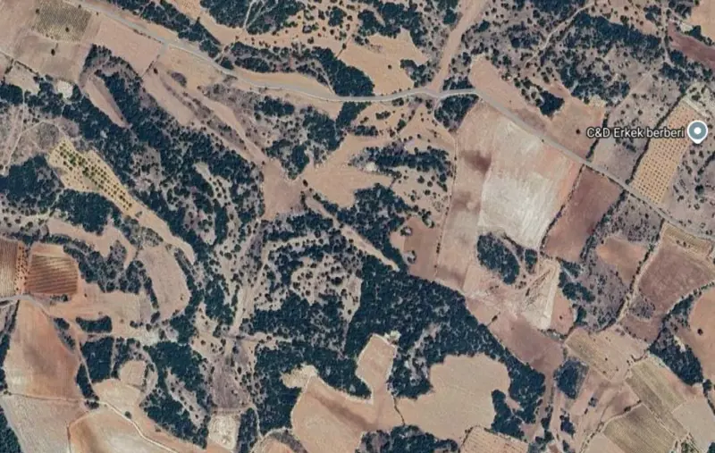 Karaağaçlı Mah., Satılık, Tarla, 64.370 m² — fotoğraf 1