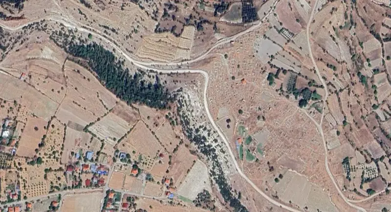 306.jpg