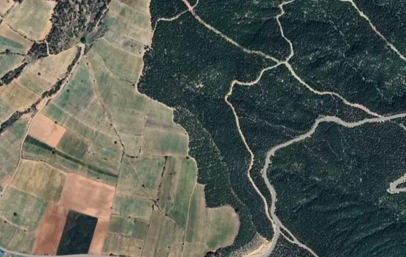 Güzelpınar Mah., Satılık, Tarla, 53.328 m² — fotoğraf 1