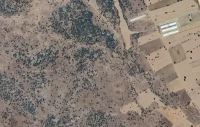 Gürpınar Mah., Satılık, Tarla, 15.979 m²