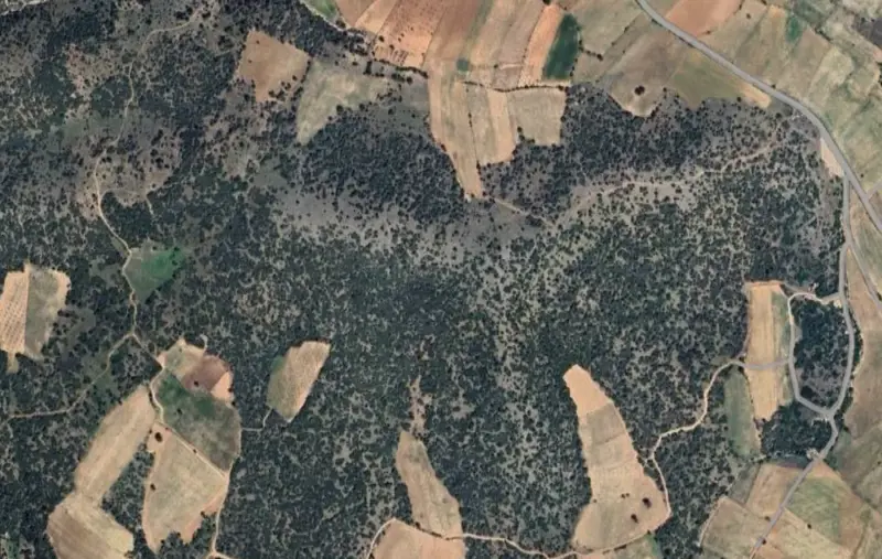 Güzelpınar Mah., Satılık, Tarla, 6.019 m² — fotoğraf 2