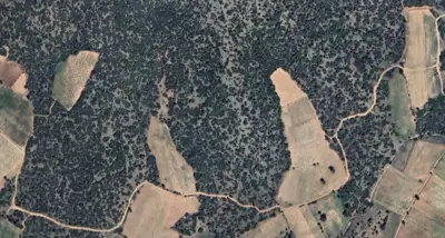 Denizli, Pamukkale, Satılık, Tarla
