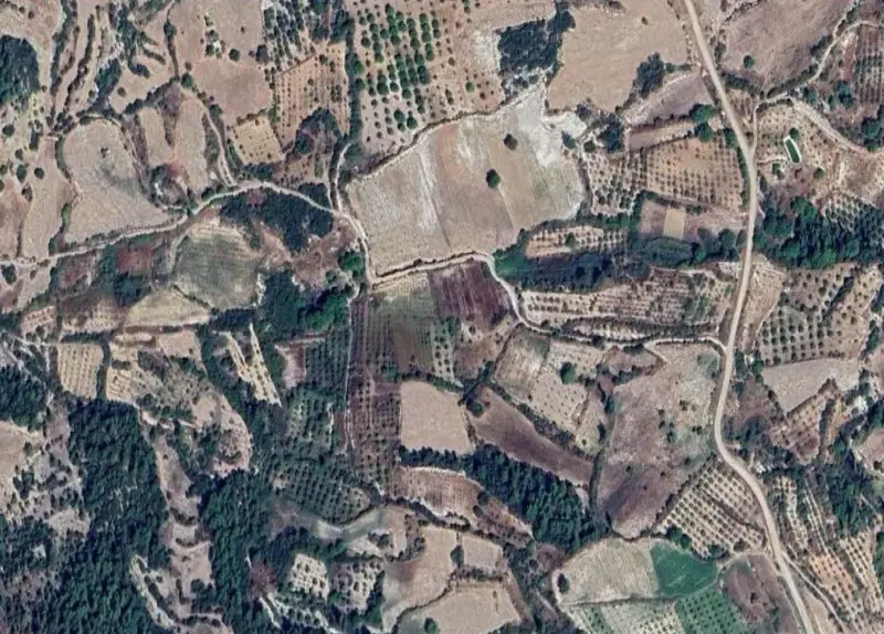 2155.jpg