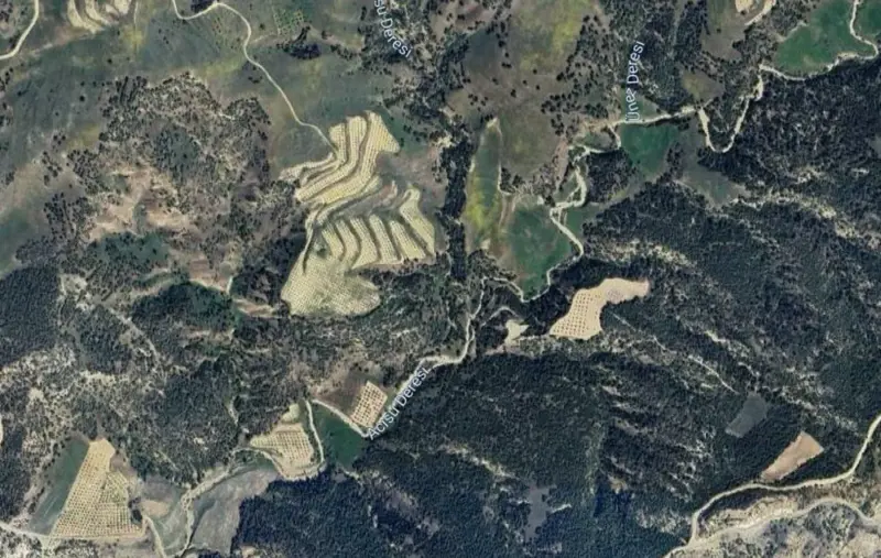 Güzelpınar Mah., Satılık, Tarla, 14.551 m² — fotoğraf 1