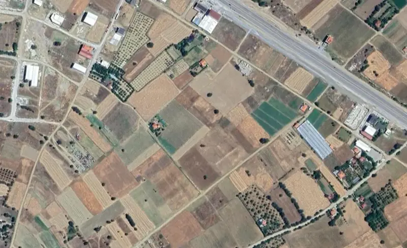 204.jpg