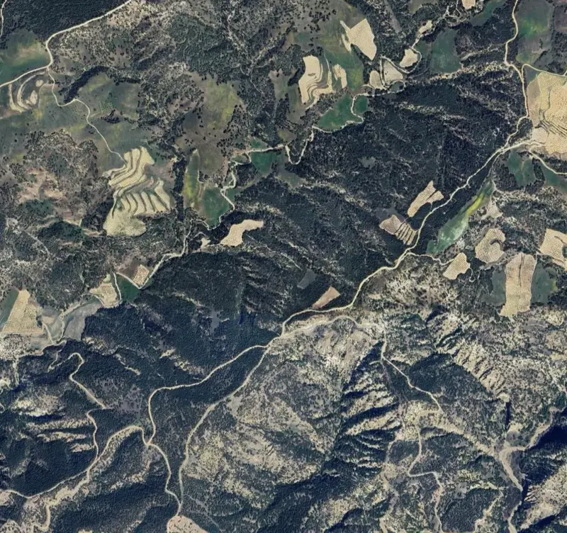 Ekran görüntüsü 2026-07-13 090603.png