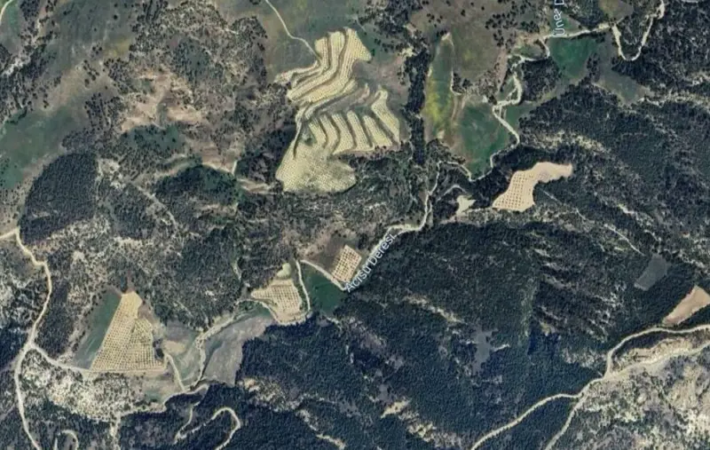 Güzelpınar Mah., Satılık, Tarla, 6.966 m² — fotoğraf 2