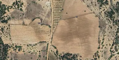 Denizli, Serinhisar, Satılık, Tarla