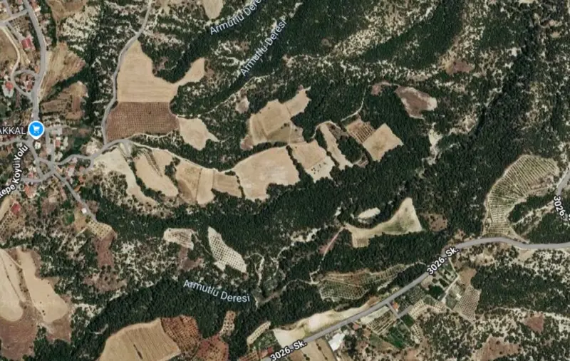 Yeşilyayla Mah., Satılık, Tarla, 8.906 m² — fotoğraf 2