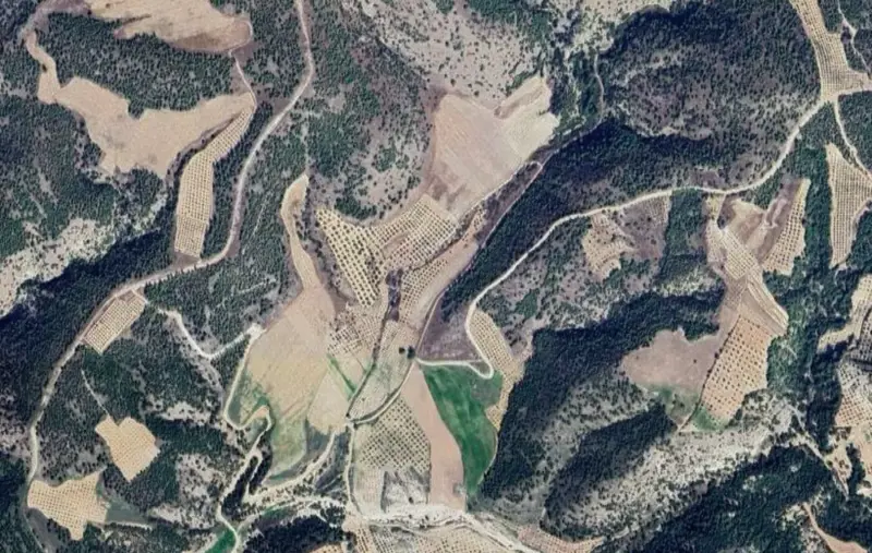 Denizli, Eğmir, Tarla — fotoğraf 1