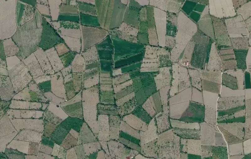 Hürriyet Mah., Satılık, Tarla, 24.566 m² — fotoğraf 2