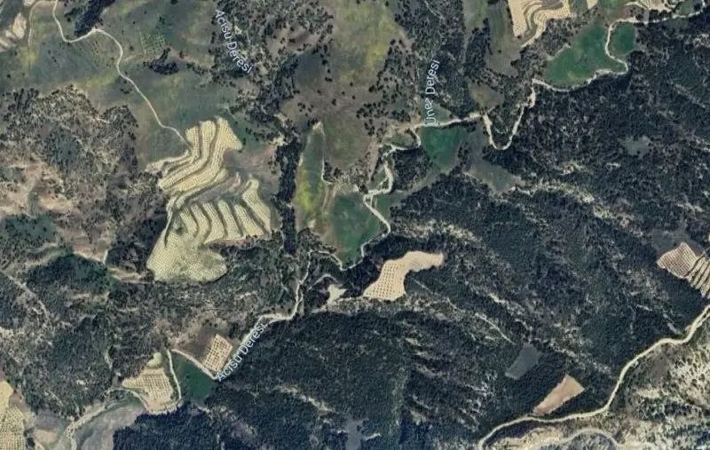 Güzelpınar Mah., Satılık, Tarla, 48.457 m² — fotoğraf 2