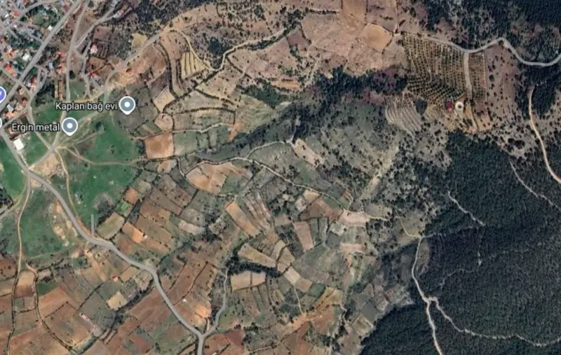 Güzelpınar Mah., Satılık, Tarla, 7.743 m² — fotoğraf 1