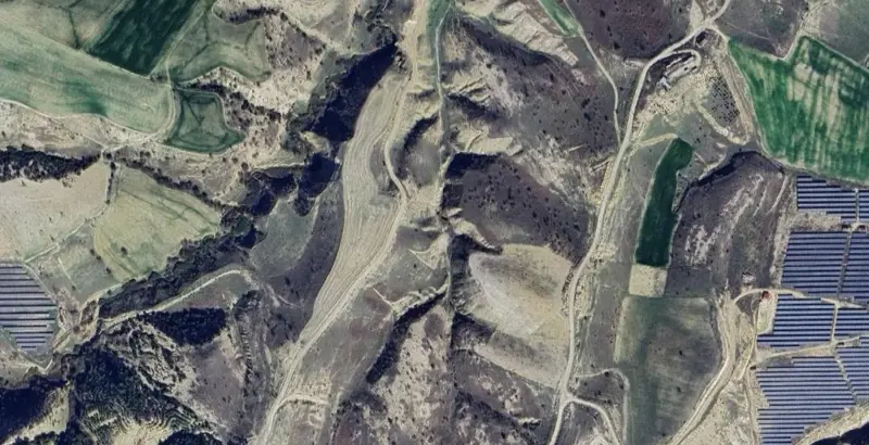 1655.jpg