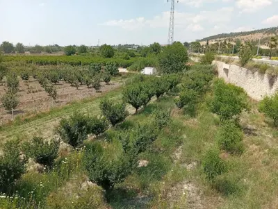 Denizli Pamukkale, Yeniköy, 2516 m², Tarla
