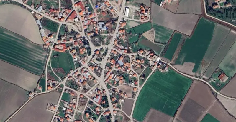 1345.jpg