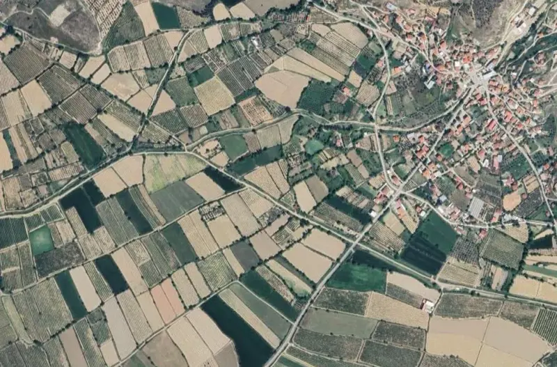 2010.jpg
