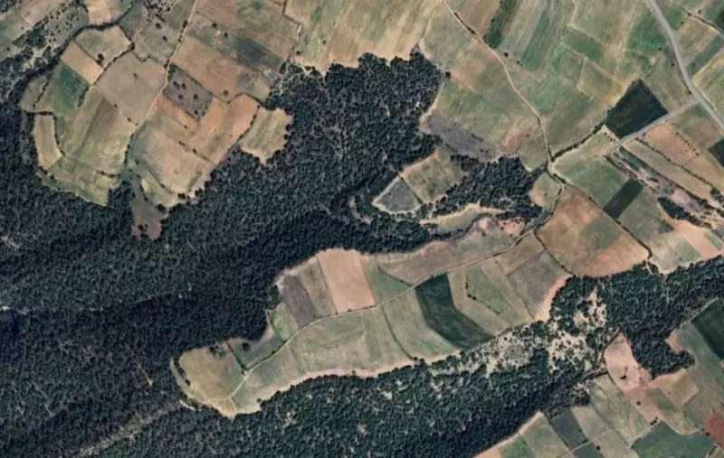 Güzelpınar Mah., Satılık, Tarla, 2.618 m² — fotoğraf 2