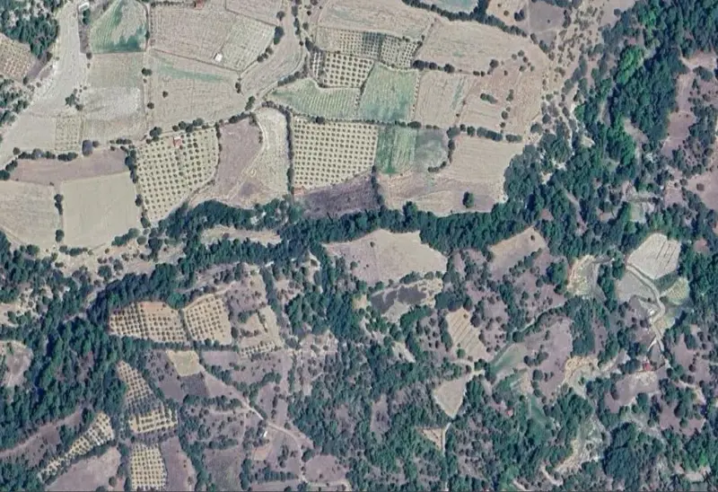 1879.jpg