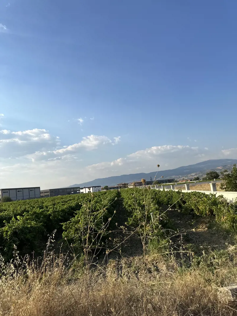 foto0.jpg
